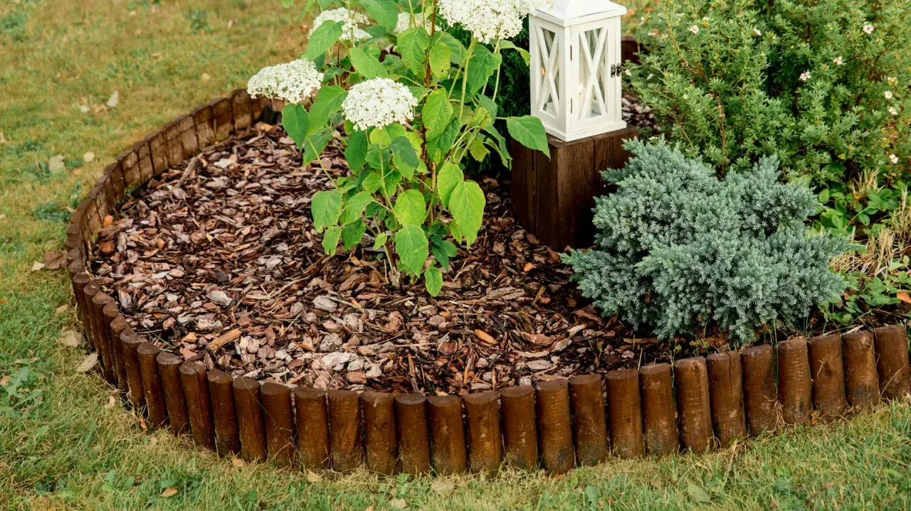 Natürliche beeteinfassung ideen: Holzrundlinge grenzen ein Blumenbeet mit Hortensien und Ziergräsern ab.