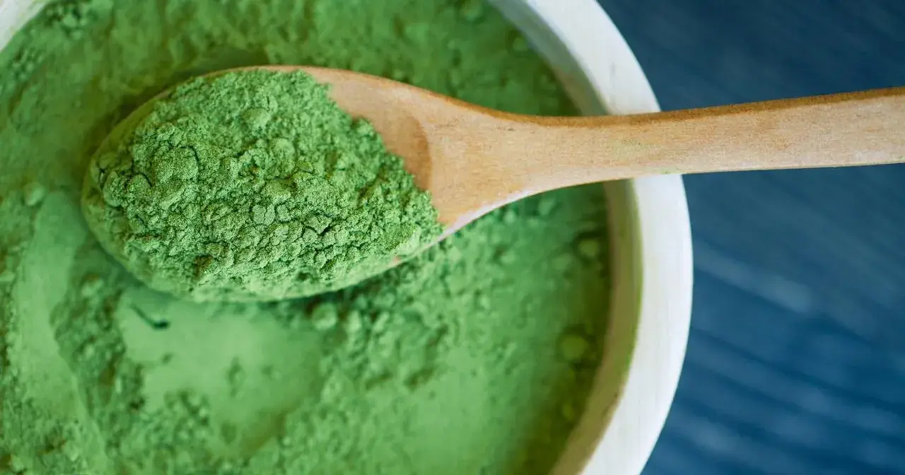 Zielony proszek na drewnianej łyżce, w misce. To spirulina – co to jest? Superfood pełen wartości.