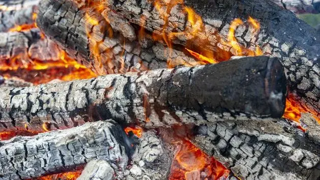 Palenie śmieci jaki artykuł? Poznaj kary i przepisy prawne