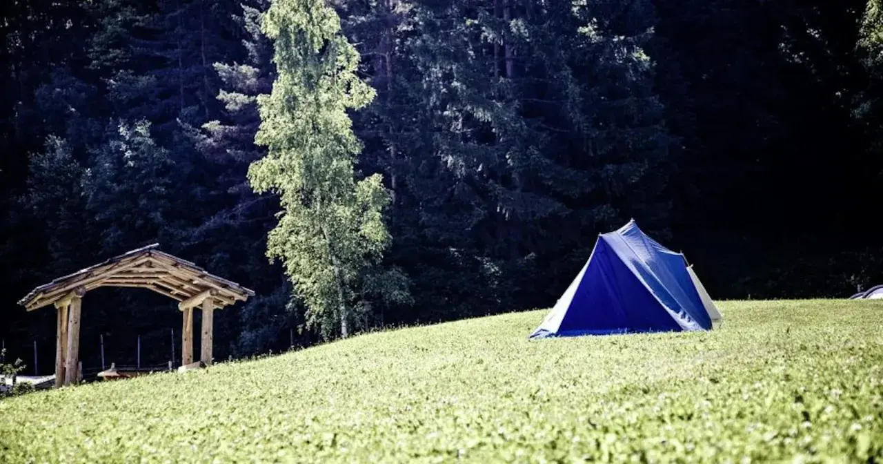 Ein blaues Zelt und ein Holzunterstand auf einer grünen Wiese vor einem dunklen Wald. Perfekt, um eine Klassenfahrt zu organisieren.