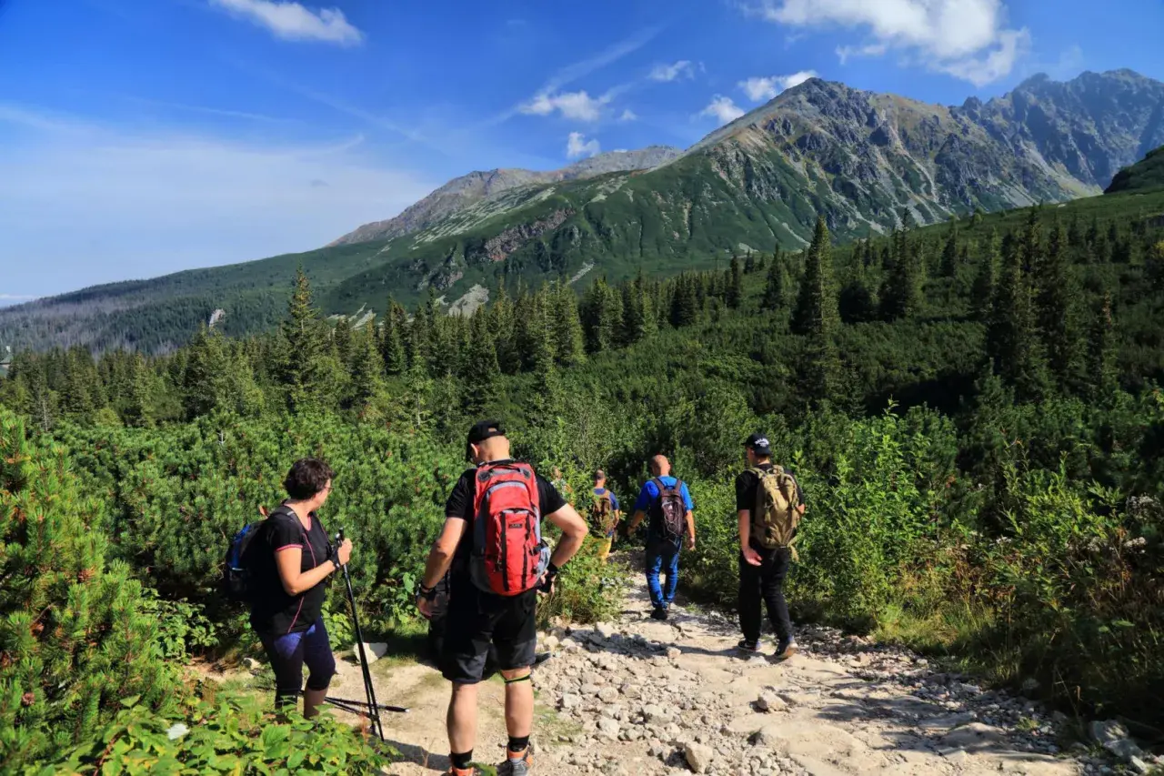 Grupa ludzi wyrusza na górski szlak. To właśnie jest trekking – piesza wędrówka po górach, często wymagająca i pełna przygód.