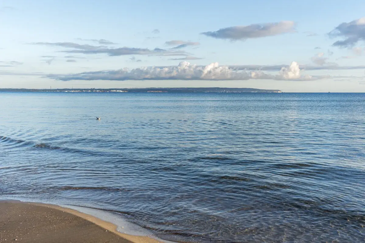 Sanfter Wellengang am Strand, im Hintergrund die Küstenlinie mit Häusern und Industrieanlagen, die an die Ostseeinseln erinnert. Ein einzelner Vogel schwimmt im ruhigen Wasser.