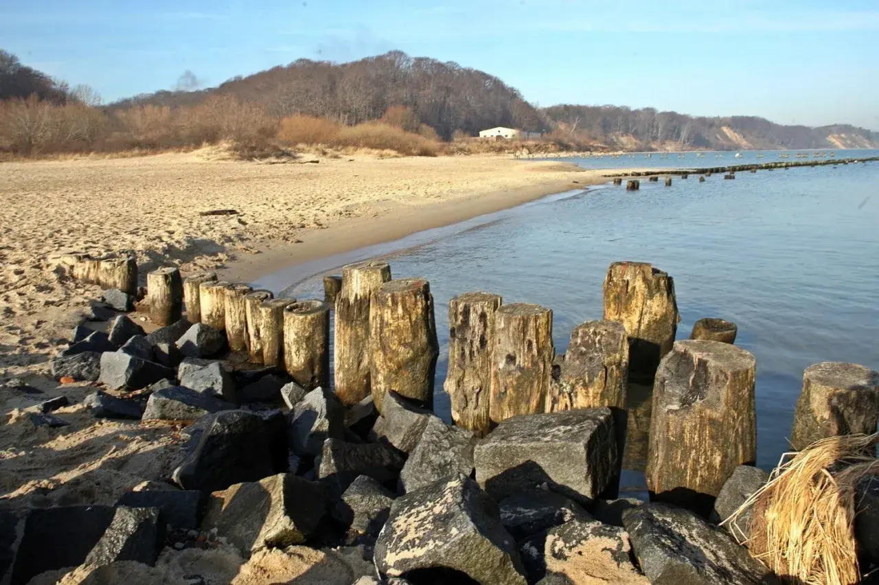 Kamienne falochrony i drewniane pale na plaży w Gdyni Oksywie. W tle piaszczysta plaża i zalesione wzgórza.