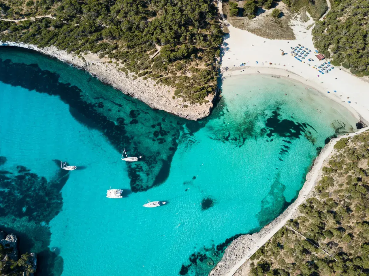 Traumhafte Bucht mit türkisfarbenem Wasser, weißen Sandstrand und Pinienwäldern. Ein Muss, was man auf Mallorca gesehen haben muss!
