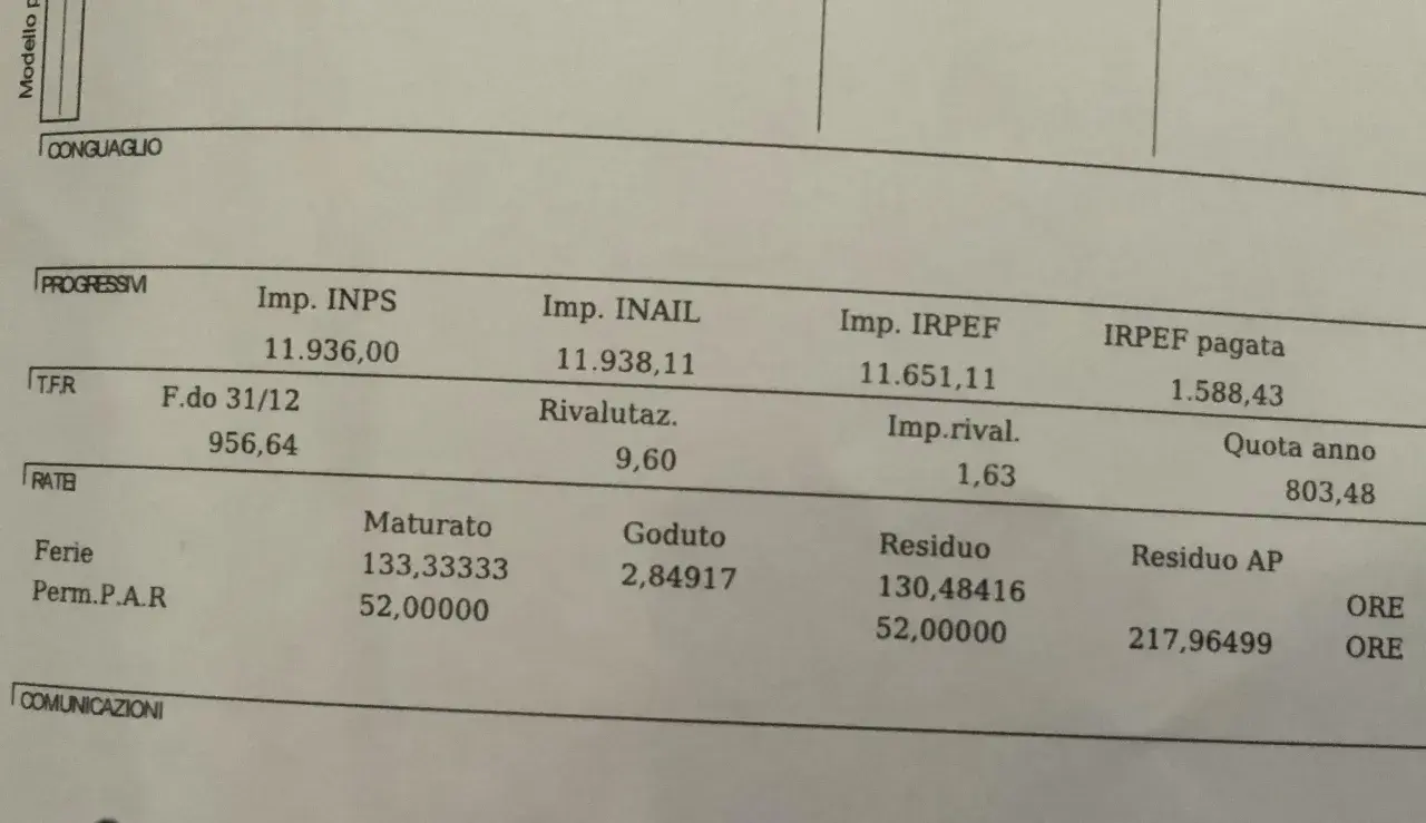 Dettagli su contributi e ferie pagate. Si vedono importi per INPS, INAIL, IRPEF e TFR, oltre a ferie maturate e godute.