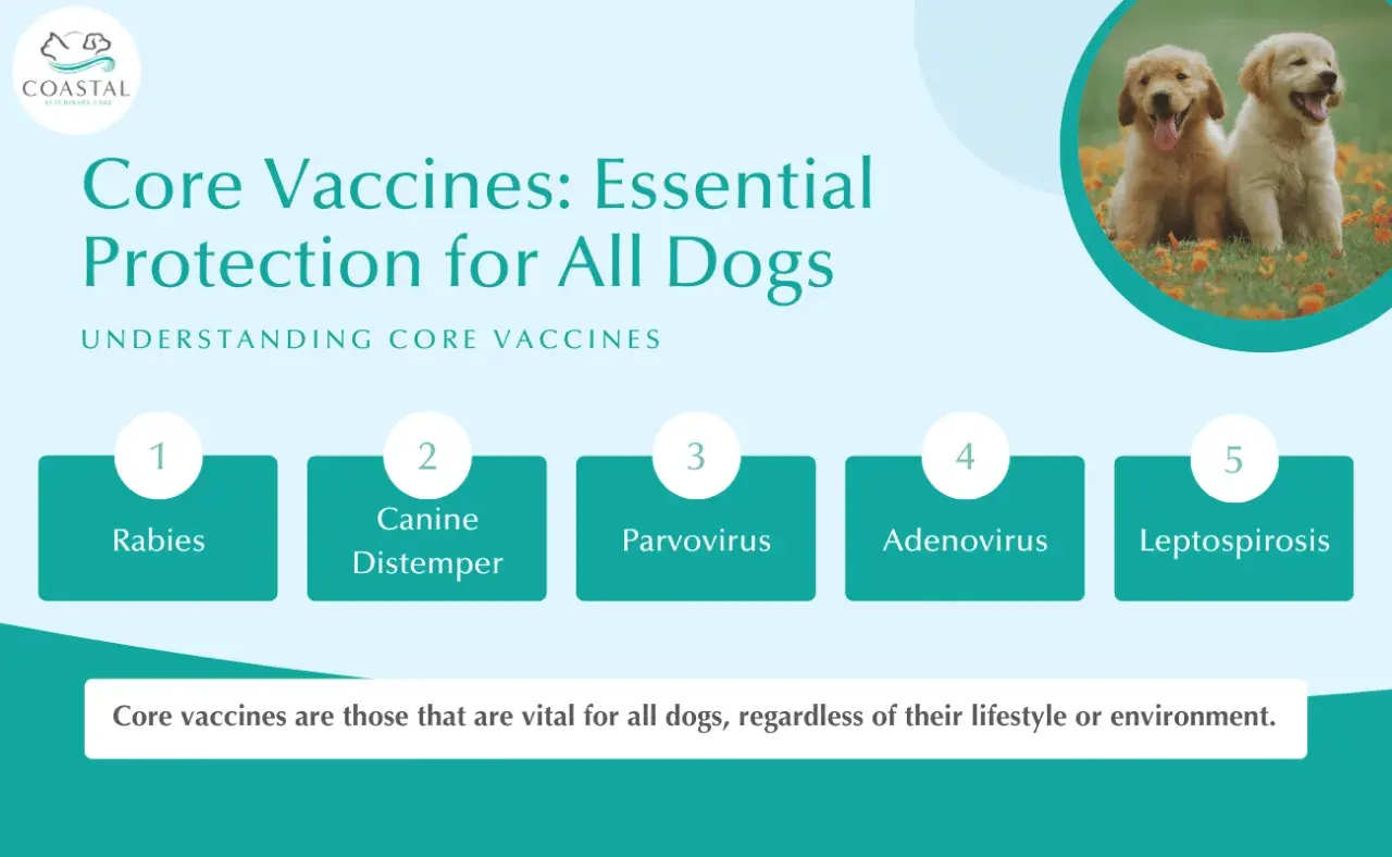 Essential core vaccines for dogs include Rabies, Canine Distemper, Parvovirus, Adenovirus, and Leptospirosis, vital for all pups.