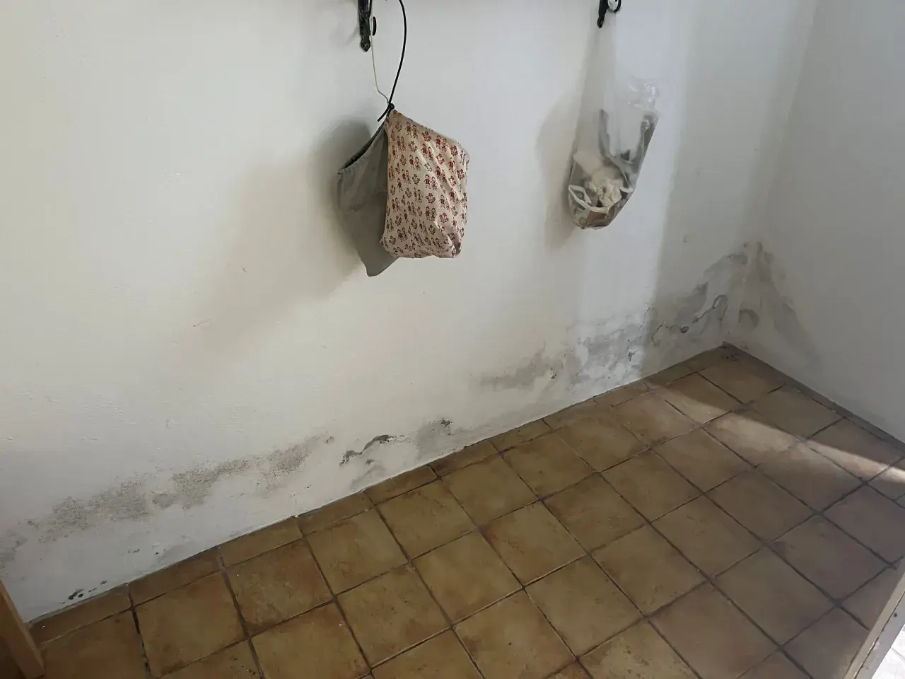 Schimmel an der Wand deutet auf Feuchtigkeitsprobleme hin. Es ist Zeit, den Boden und die Wände abzudichten, um weitere Schäden zu vermeiden.