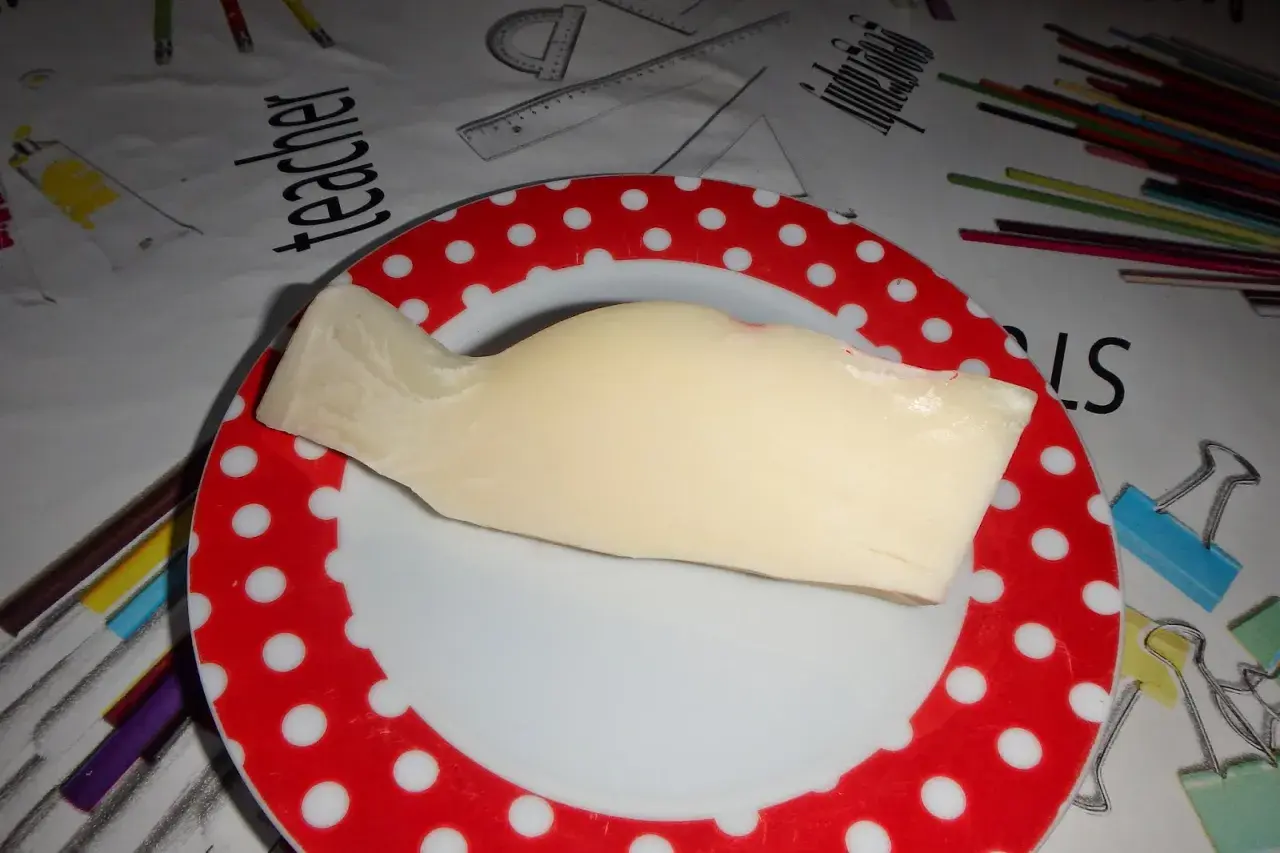 Kawałek żółtego sera provolone leży na talerzu w czerwone kropki. Tło przedstawia materiał z rysunkami przyborów szkolnych.
