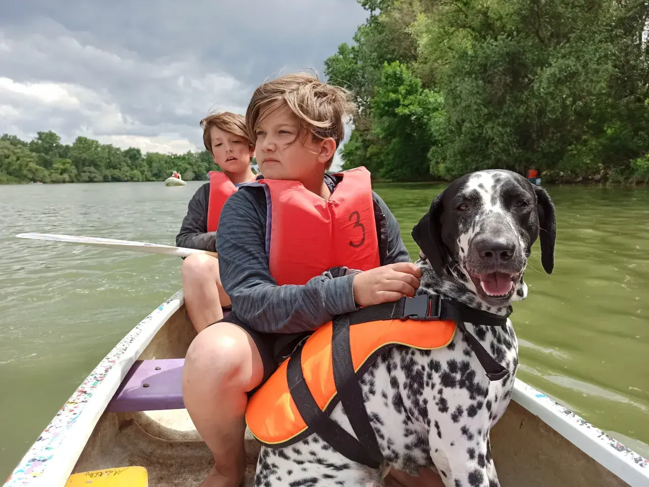 Dos niños y un dálmata disfrutan de un paseo en canoa, demostrando los beneficios de tener un perro en aventuras familiares.