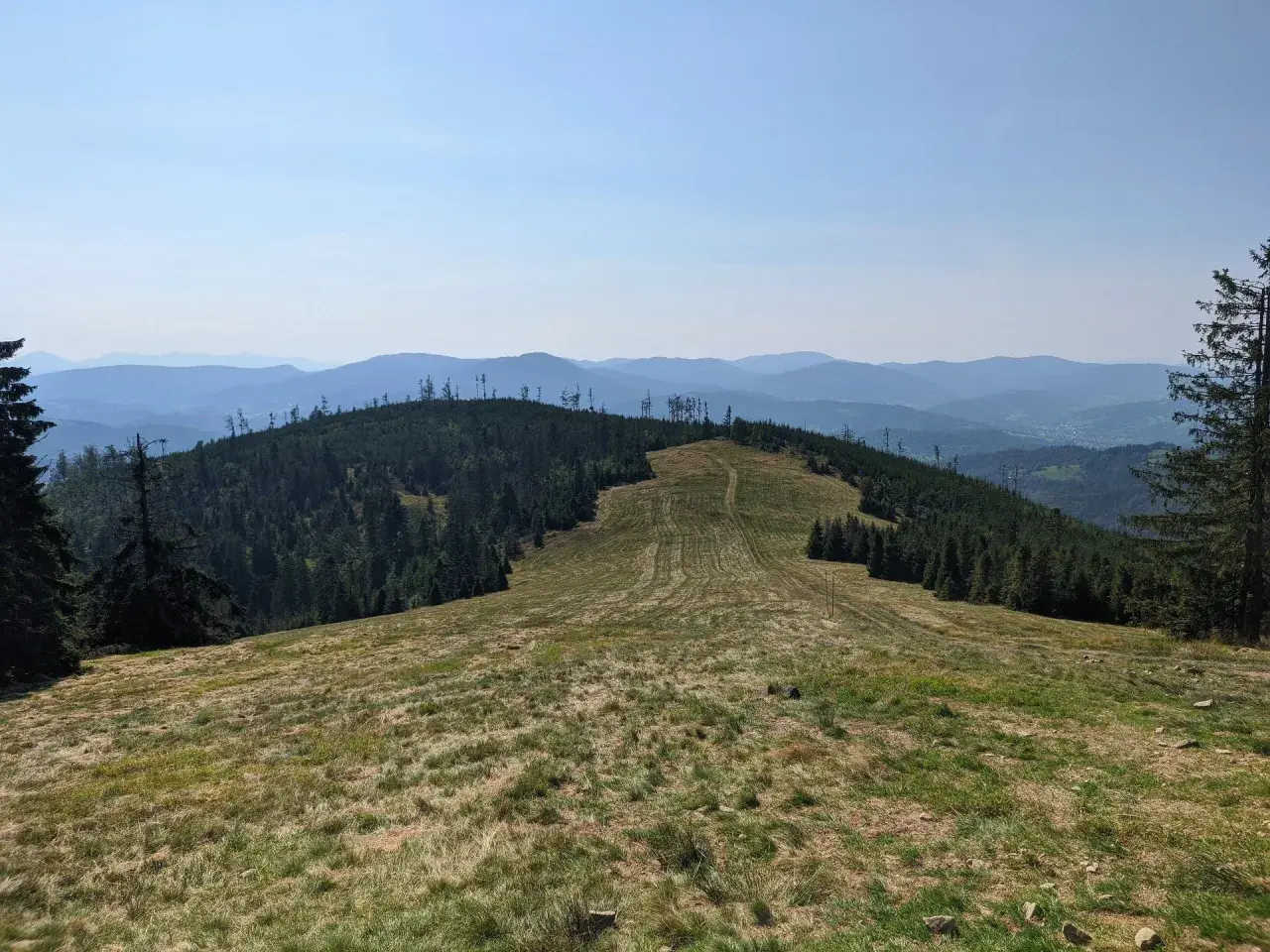 Widok z kamery rysianka na zalesione wzgórza i pasma górskie w oddali.