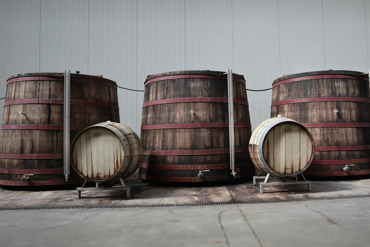 Grandi botti di legno con cerchi rossi, una piccola botte in primo piano con la scritta "Cru" che evoca il significato di origine e qualità.