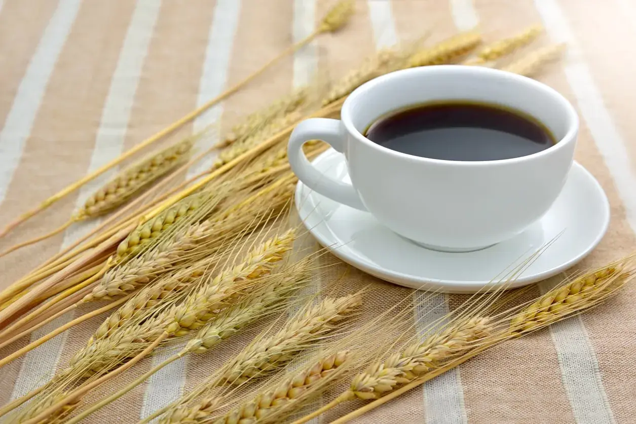 Una tazza di caffè d'orzo fumante, circondata da spighe dorate su una tovaglia a righe.