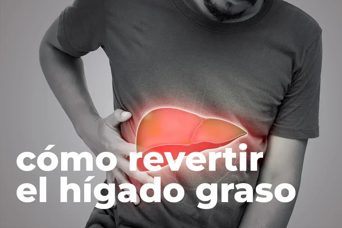 Medicamentos para el hígado graso: opciones y tratamientos efectivos