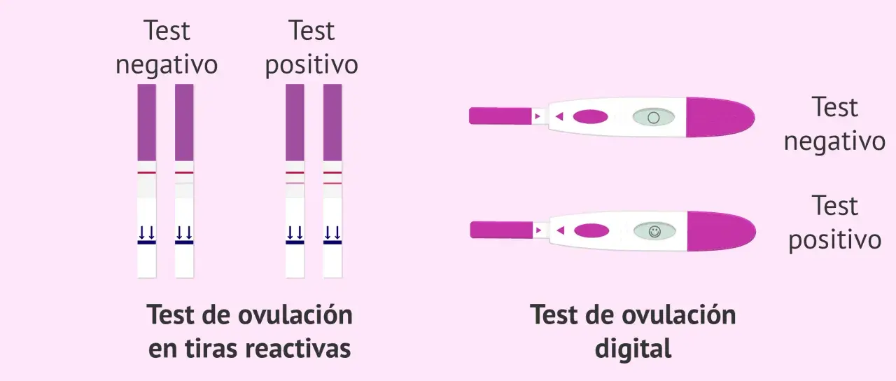 Comparativa de test de ovulación: tiras reactivas con dos líneas (positivo) y digital con carita sonriente (positivo).