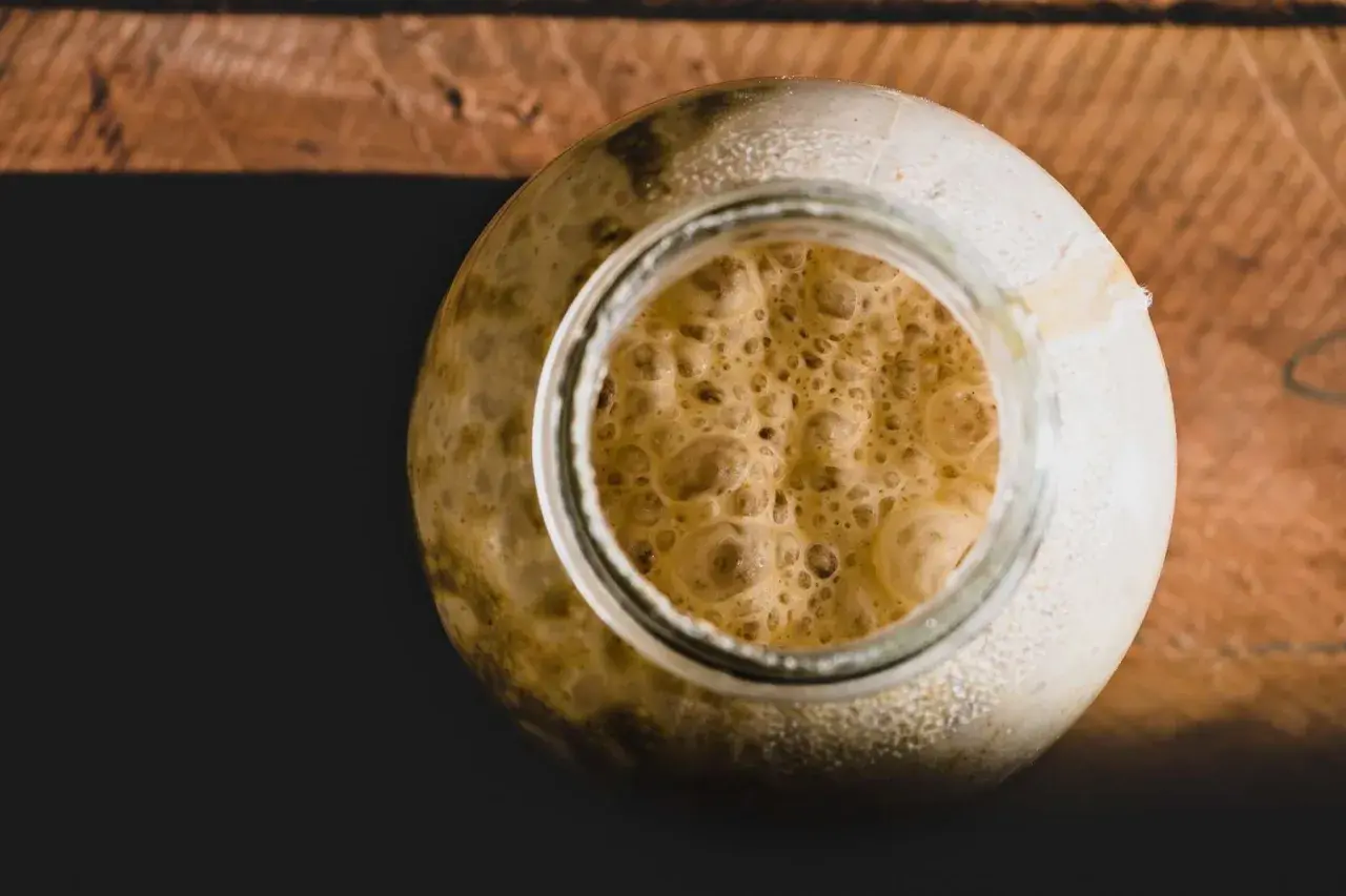 Blubbernder Sauerteig im Glas, voller aktiver Hefe und Bakterien, bereit zum Backen.