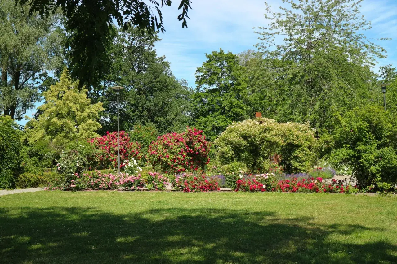 En vacker park med blomstrande rosor och grönskande träd. Perfekt för avkoppling och aktiviteter i Eskilstuna för vuxna.
