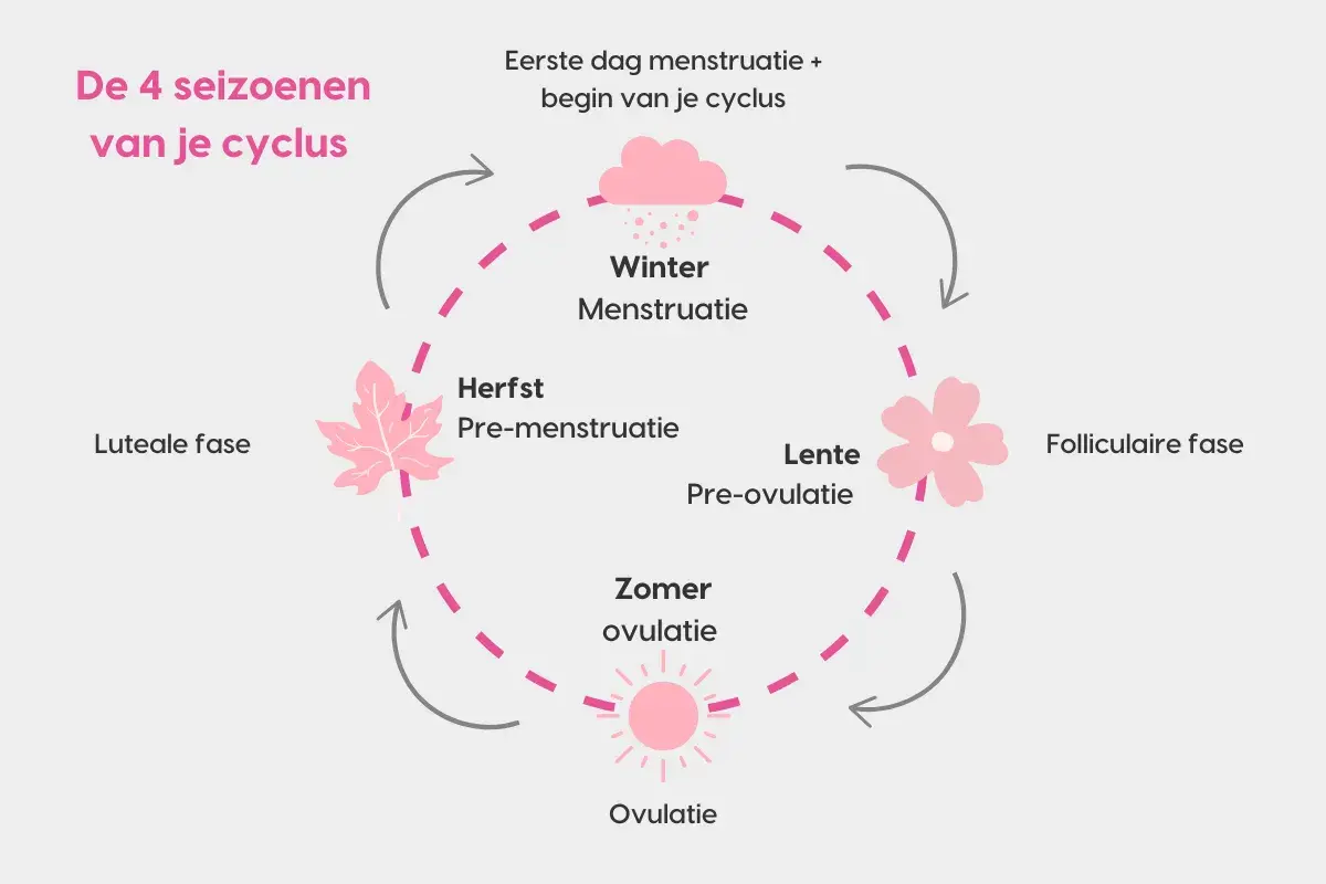 De 4 seizoenen van je cyclus: Winter (menstruatie), Lente (pre-ovulatie), Zomer (ovulatie) en Herfst (pre-menstruatie). Dit toont de cyclus vrouw stemming.