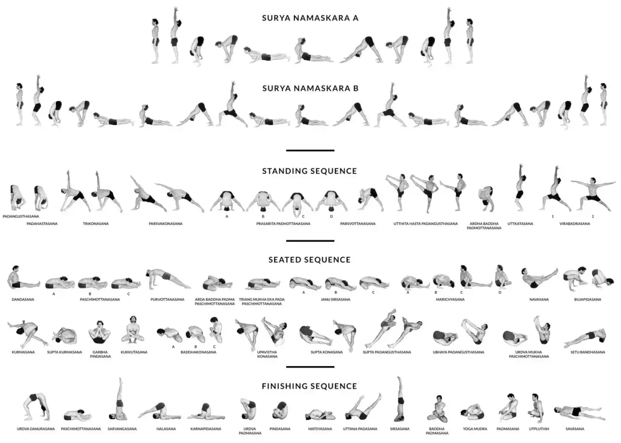 Sekwencje ashtanga: Surya Namaskara A i B, pozycje stojące, siedzące i końcowe.