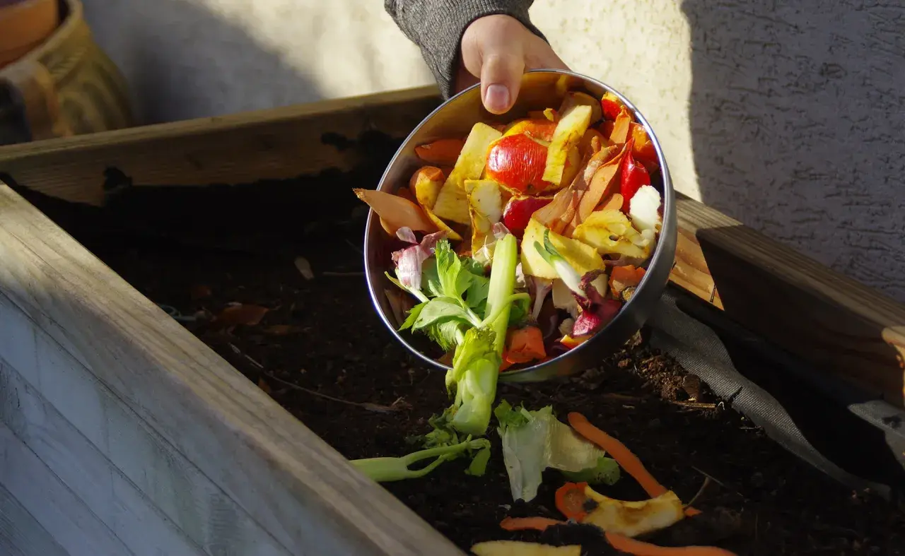Manos añaden restos de vegetales a un compostador. Aprende como hacer compost con estos ingredientes.