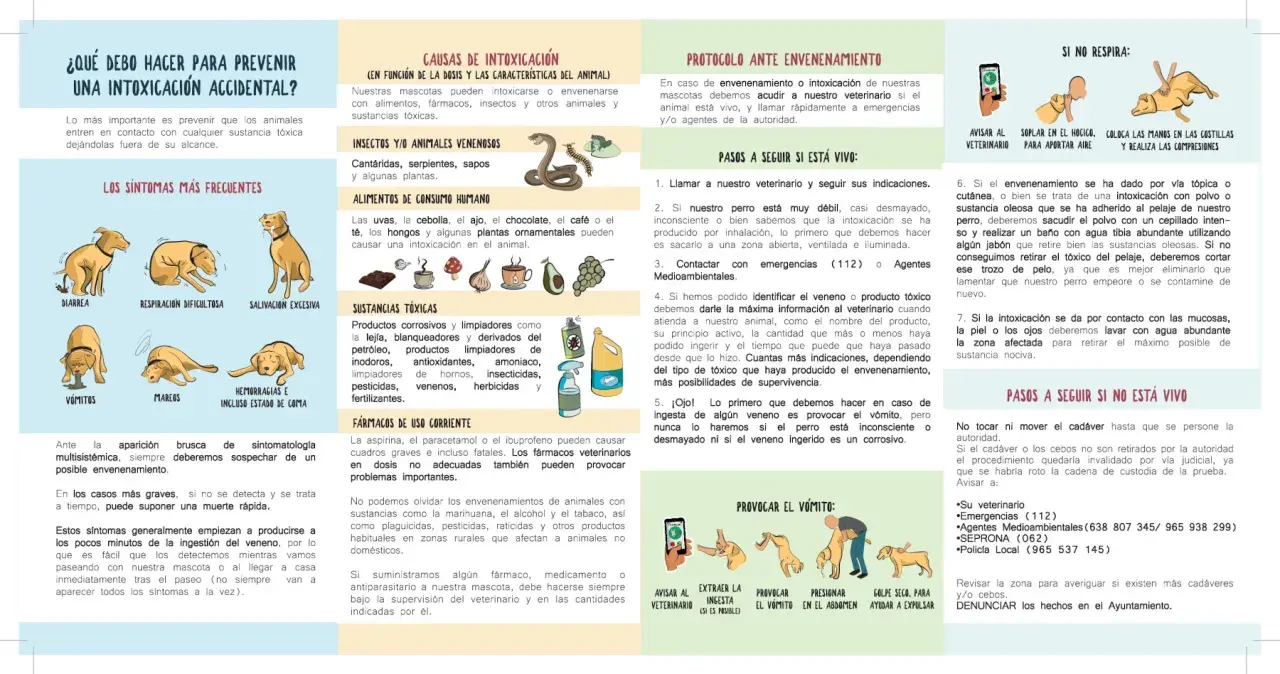 Ilustración sobre qué hacer ante una intoxicación accidental de perros, incluyendo síntomas, causas y protocolos de actuación. Menciona el veneno para perros.