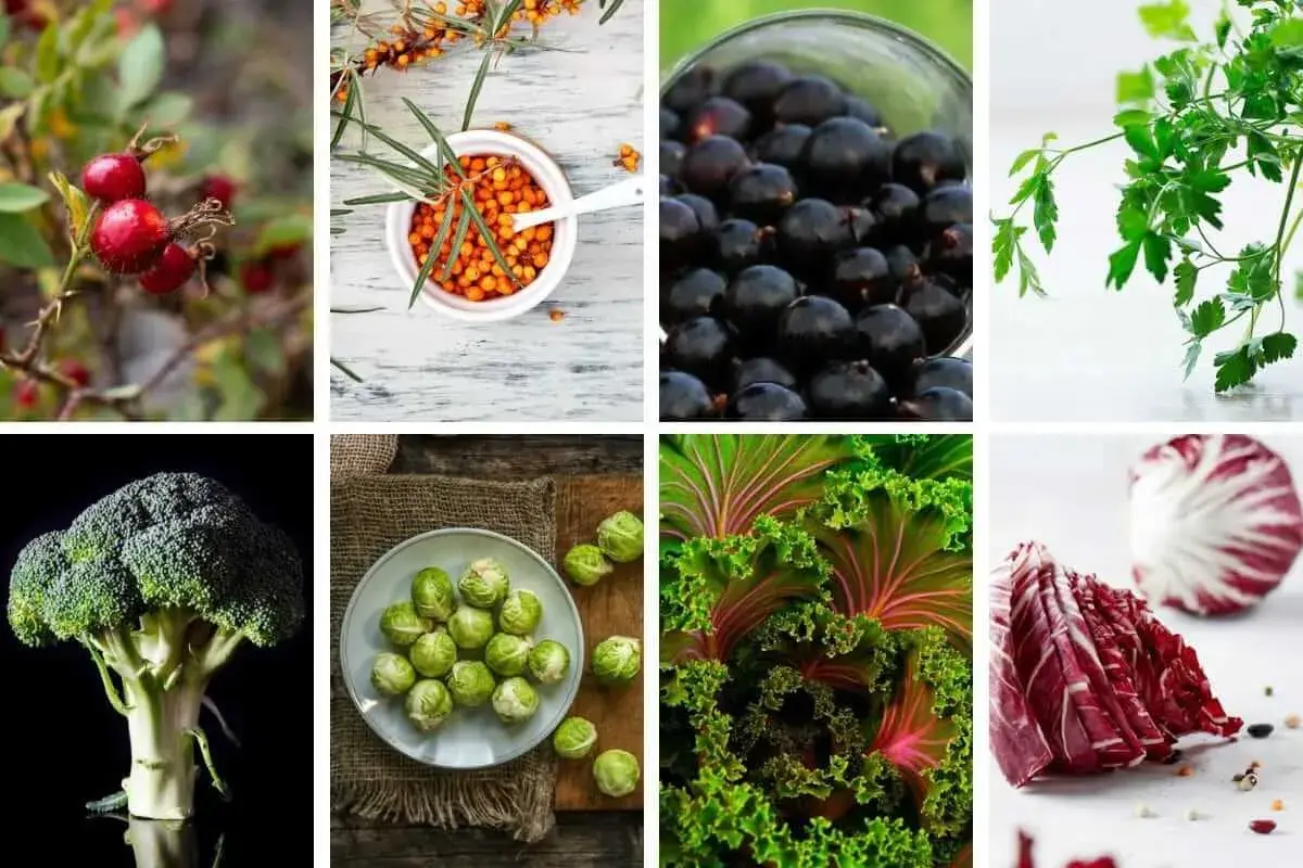 Hagebutten, Sanddorn, schwarze Johannisbeeren, Brokkoli, Rosenkohl, Grünkohl und Radicchio – vielfältige vitamin c lebensmittel für eine gesunde Ernährung.