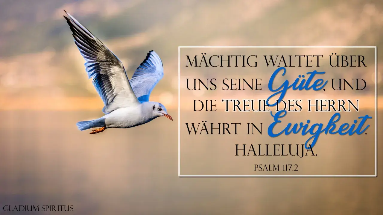 Möwe fliegt vor warmem Himmel. Text: "Mächtig waltet über uns seine Güte, und die Treue des Herrn währt in Ewigkeit. Halleluja. Psalm 117.2