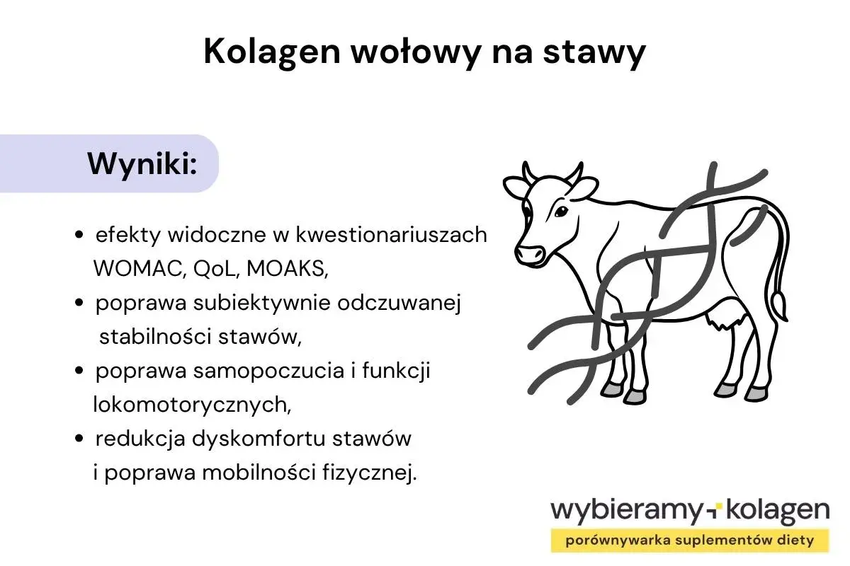 Wyniki badań nad kolagenem wołowym: poprawa stabilności stawów, samopoczucia i mobilności. Pomocne w walce z dyskomfortem, jak przy rdzeniowym zaniku mięśni.