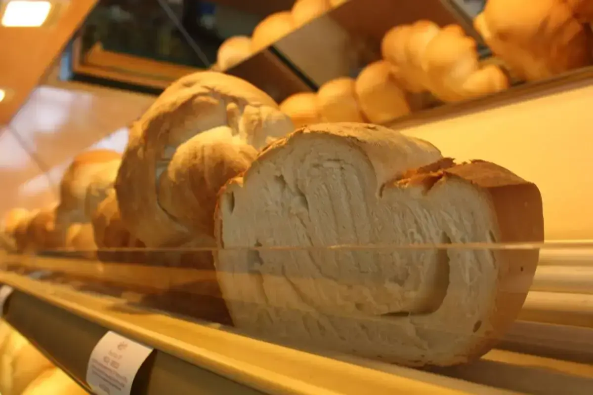 Pane a treccia, un miccone pavia, soffice e dorato, pronto per essere gustato.
