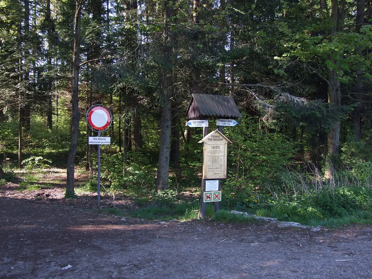 Leśna ścieżka prowadzi do **przełęczy Osice**. Znaki turystyczne wskazują drogę, a tablica informuje o Pienińskim Parku Narodowym.