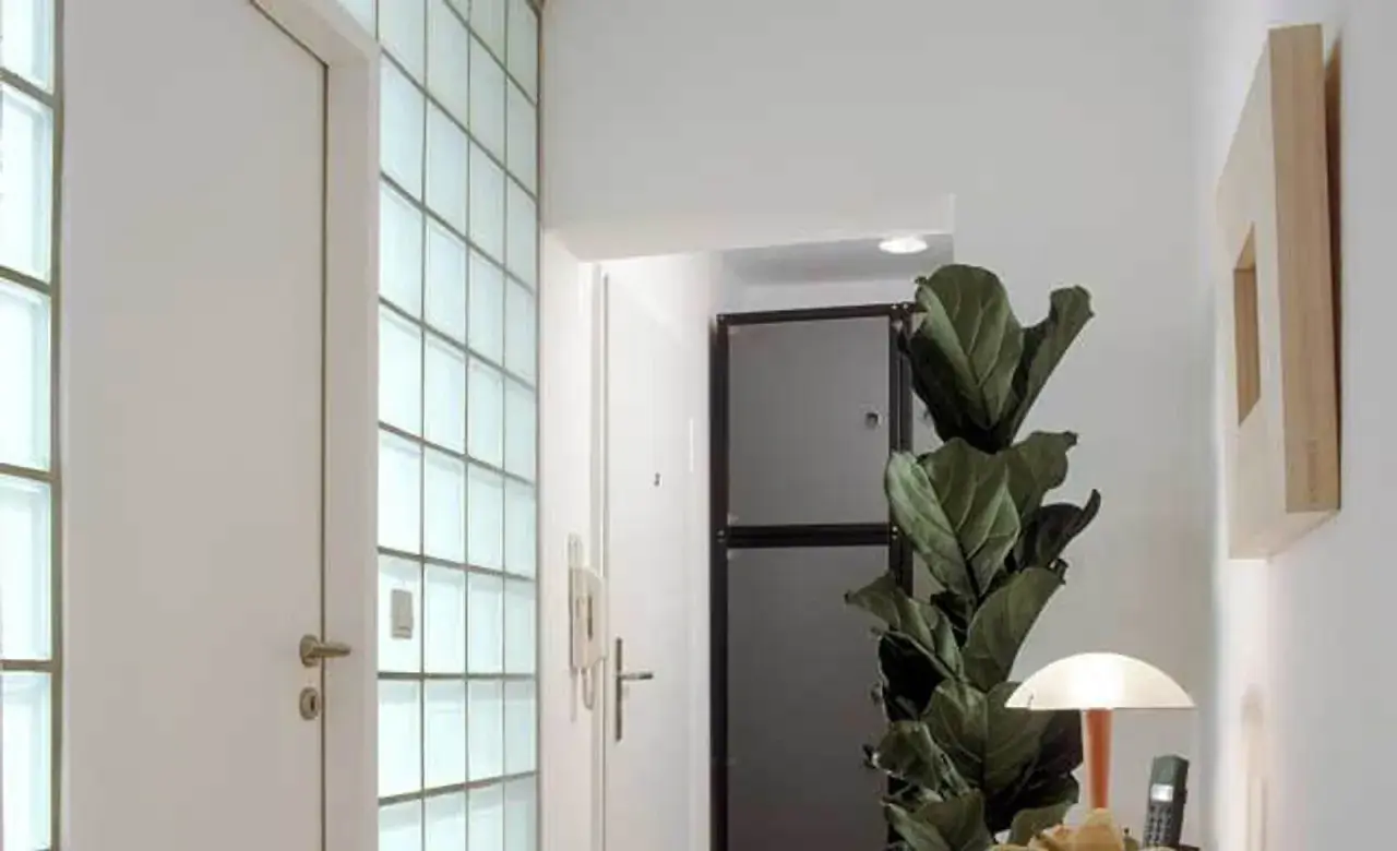 Moderne Diele mit einer Wand aus glasbausteinen verlegen, die viel Licht hereinlässt. Eine Tür und eine große Zimmerpflanze ergänzen den Raum.