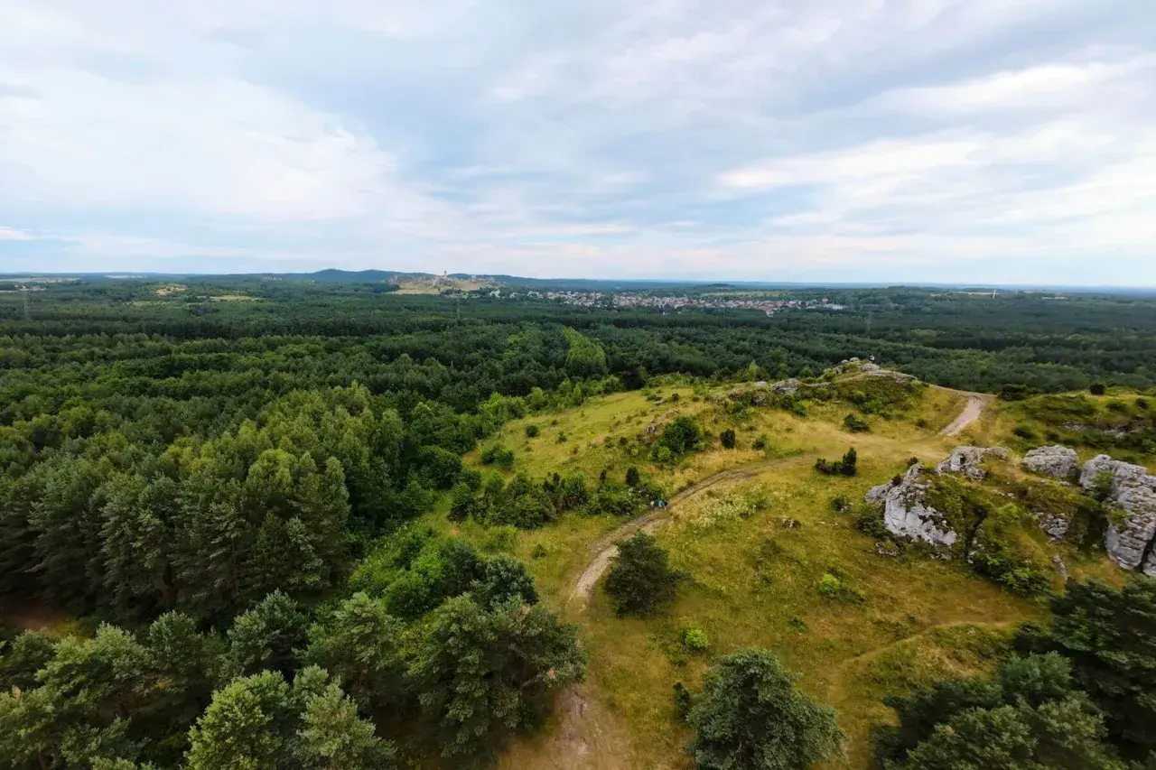 Krajobraz Jury Krakowsko-Częstochowskiej z wapiennymi ostańcami, zielonymi lasami i widoczną w oddali miejscowością.