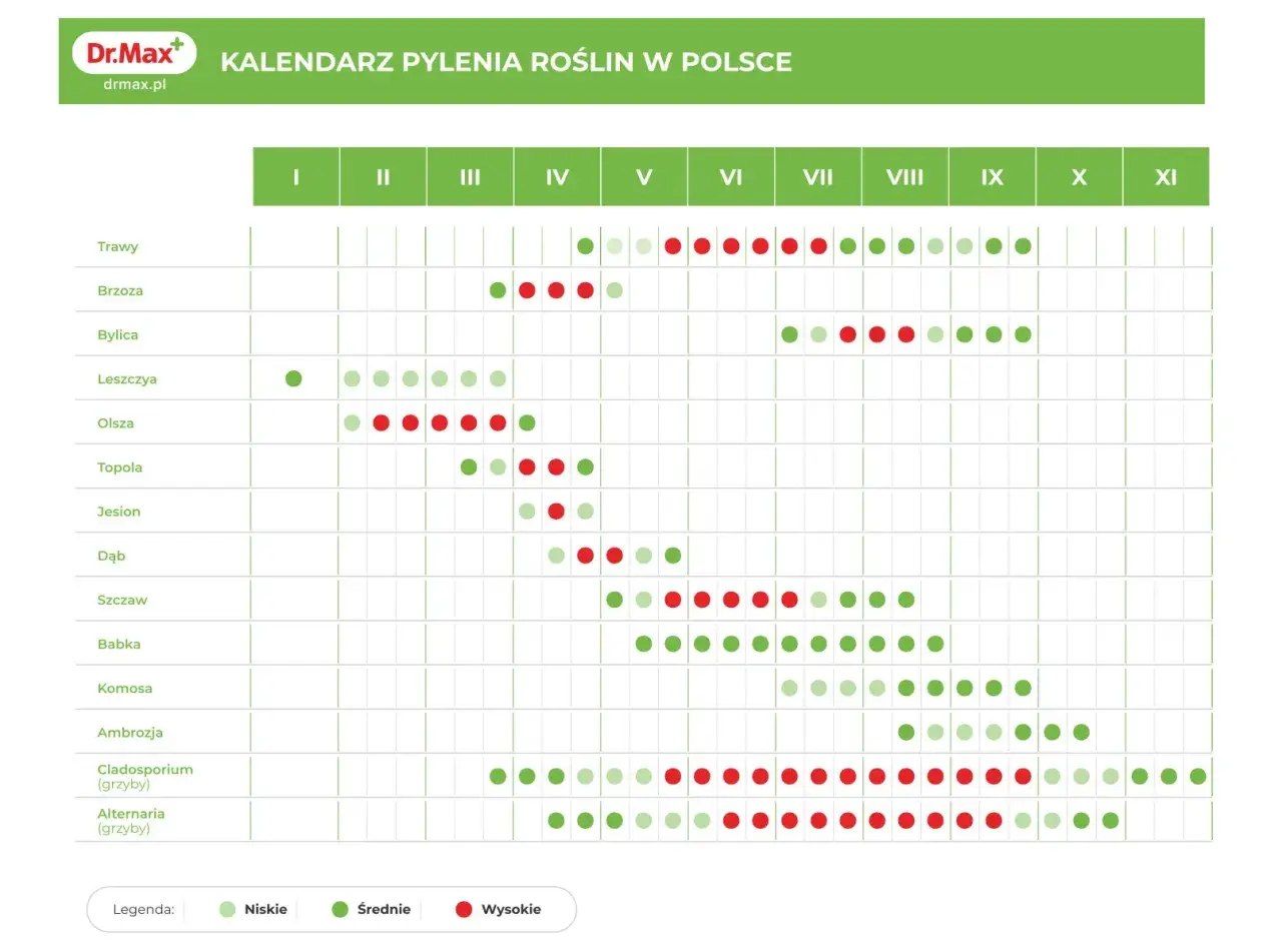 Kalendarz pokazuje, co pyli teraz w Polsce: od traw i drzew po grzyby. Czerwone kropki oznaczają wysokie stężenie pyłków.