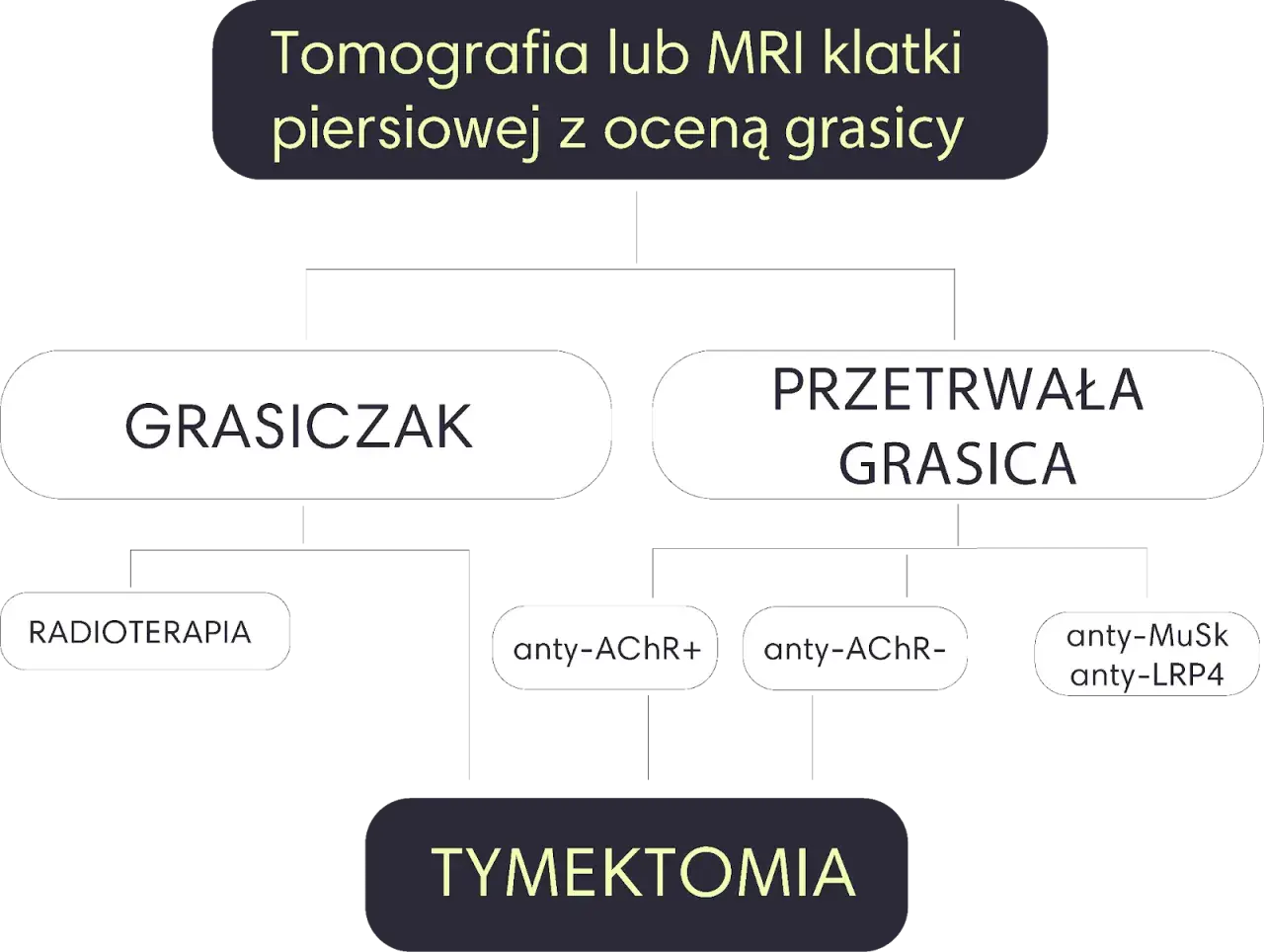 Schemat diagnostyki i leczenia miastenii: grasiczak, przetrwała grasica, radioterapia, tymektomia, przeciwciała anty-AChR, anty-MuSk, anty-LRP4.
