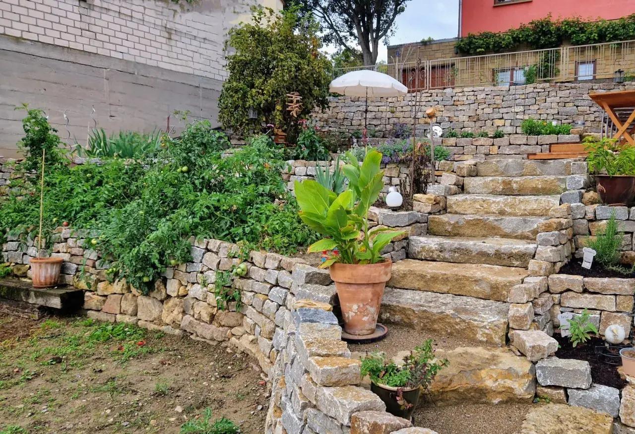 Ein Garten mit üppigen Tomatenpflanzen, begrenzt von einer niedrigen trockenmauer ohne fundament. Steintreppen führen zu einem Terrassenbereich.