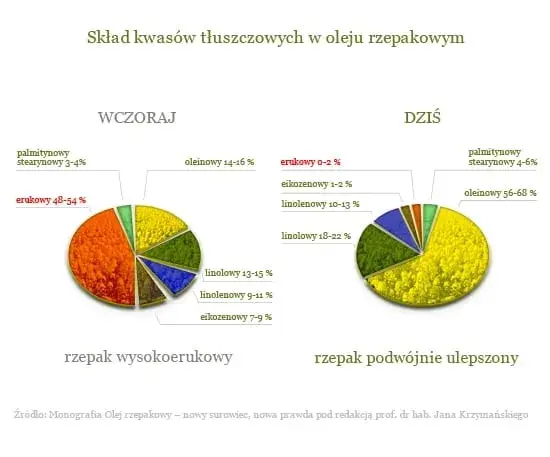 Czy olej rzepakowy to olej roślinny? Odkryj jego zdrowotne korzyści