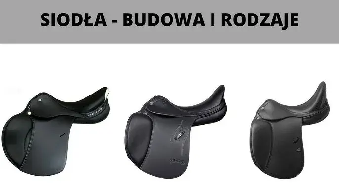 Jak wygląda siodło? Odkryj jego elementy i różnorodność typów
