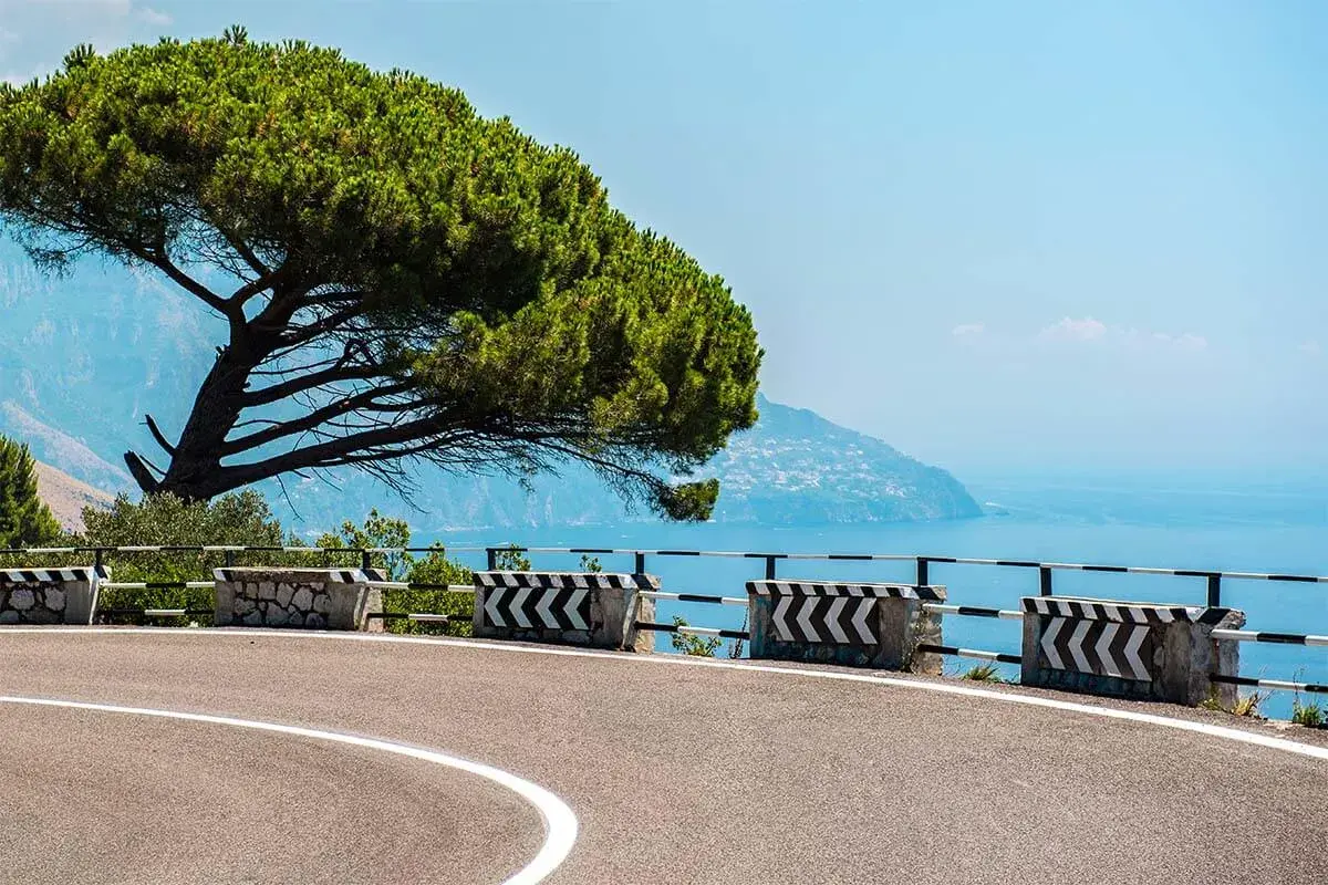 Scenic road on the bus route from Naples to Amalfi, with a pine tree and the blue sea.