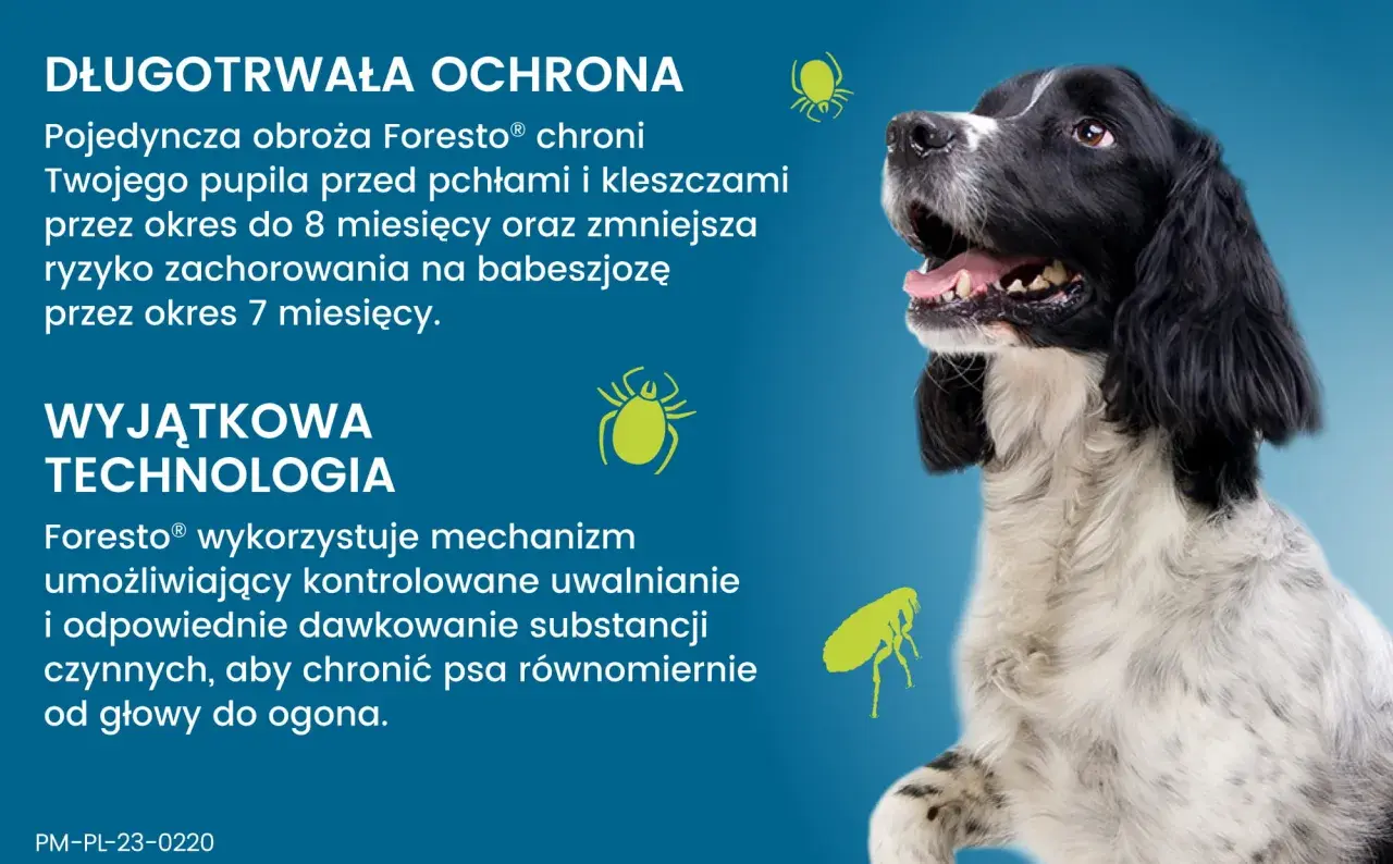Obroża Foresto® działa dzięki mechanizmowi kontrolowanego uwalniania substancji, chroniąc psa przed kleszczami i pchłami do 8 miesięcy.