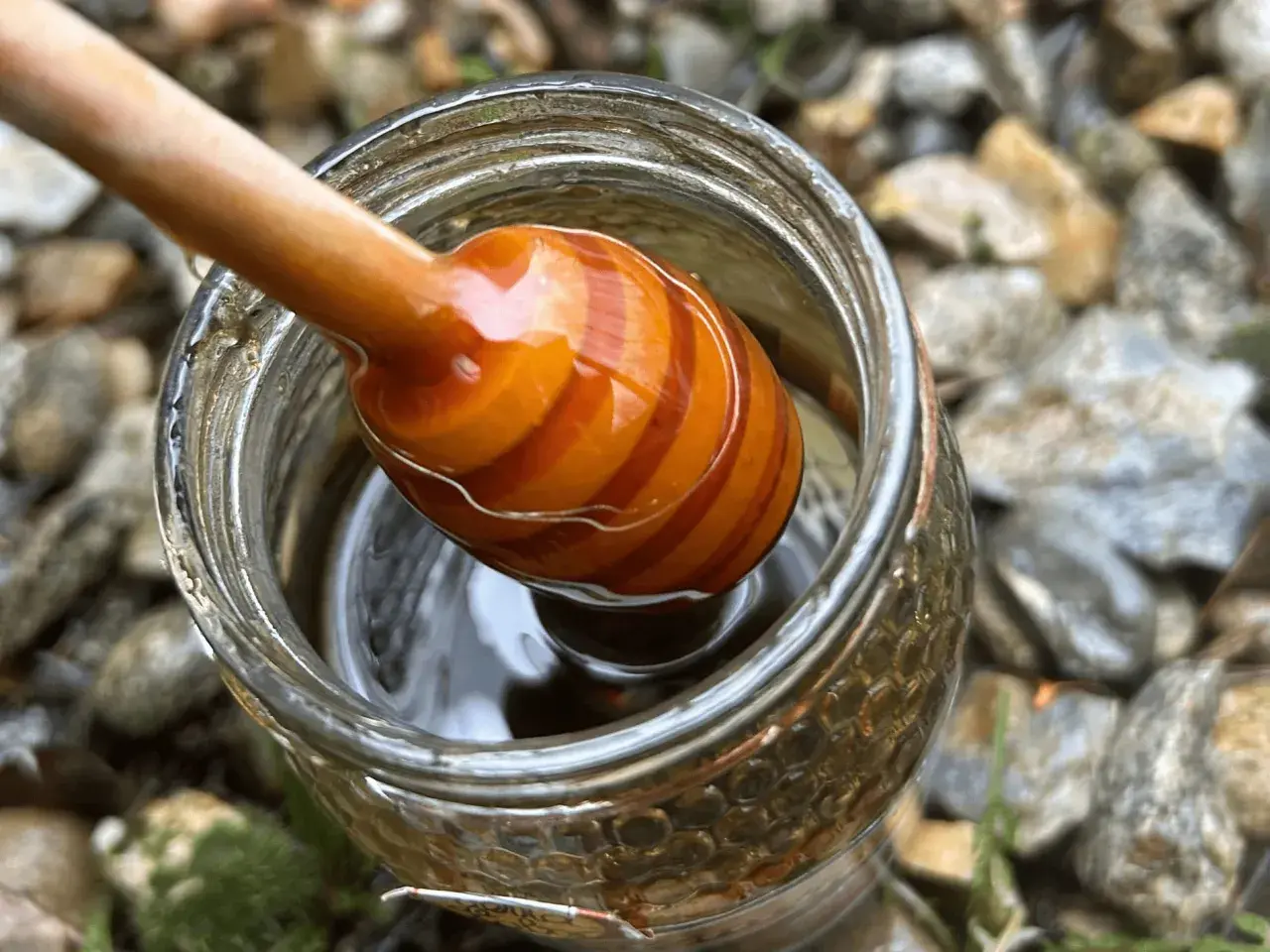 Un agitador de miel de madera con rayas naranjas se sumerge en un frasco de miel dorada, listo para comenzar la ruta de la miel.