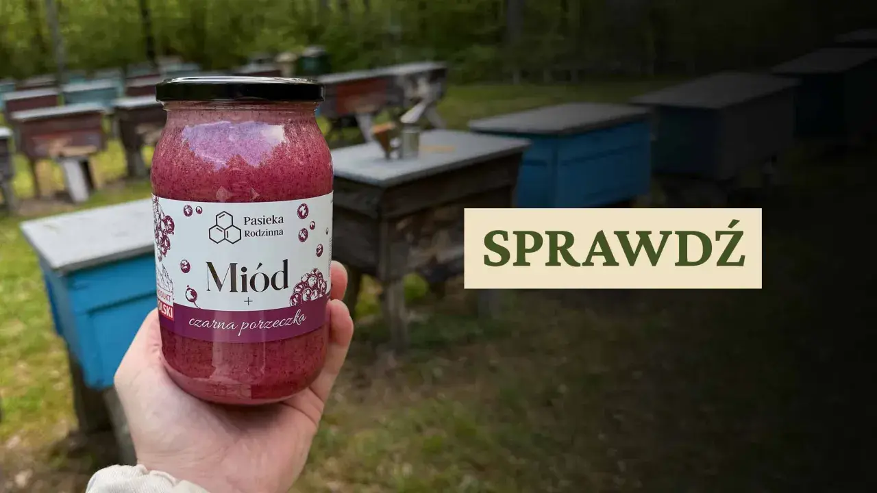 Słoik miodu z czarną porzeczką, na tle pasieki. Czy miód akacjowy się krystalizuje? Sprawdź!