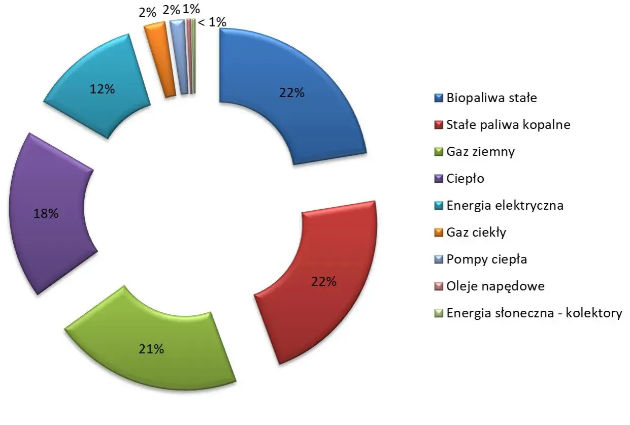 Wykres kołowy pokazuje strukturę zużycia energii w Polsce: 22% gaz ziemny, 22% stałe paliwa kopalne, 21% ciepło, 18% energia elektryczna, 12% biopaliwa stałe, a pozostałe źródła poniżej 2%.