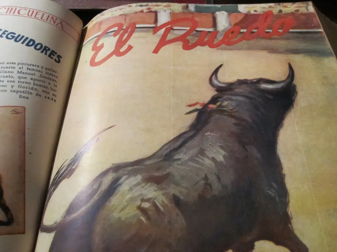 Un toro bravo en el ruedo, con el título "El Ruedo" y la palabra "coquilla torero" en el texto.