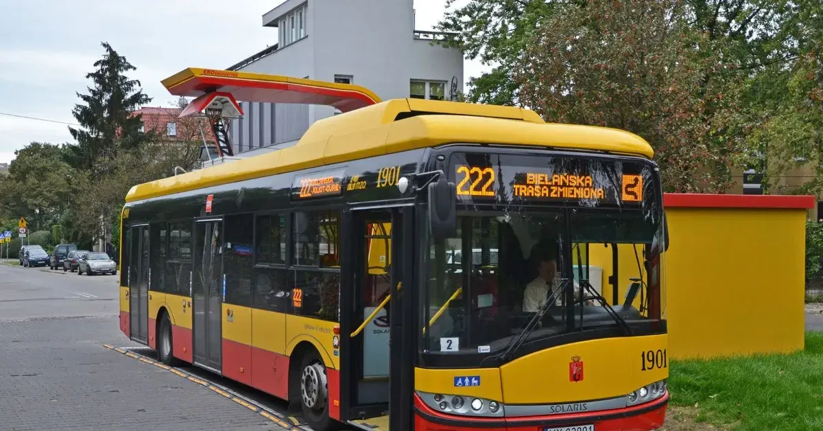 Ile osób zmieści bus/autobus? Limity, kat. B/D i polskie przepisy