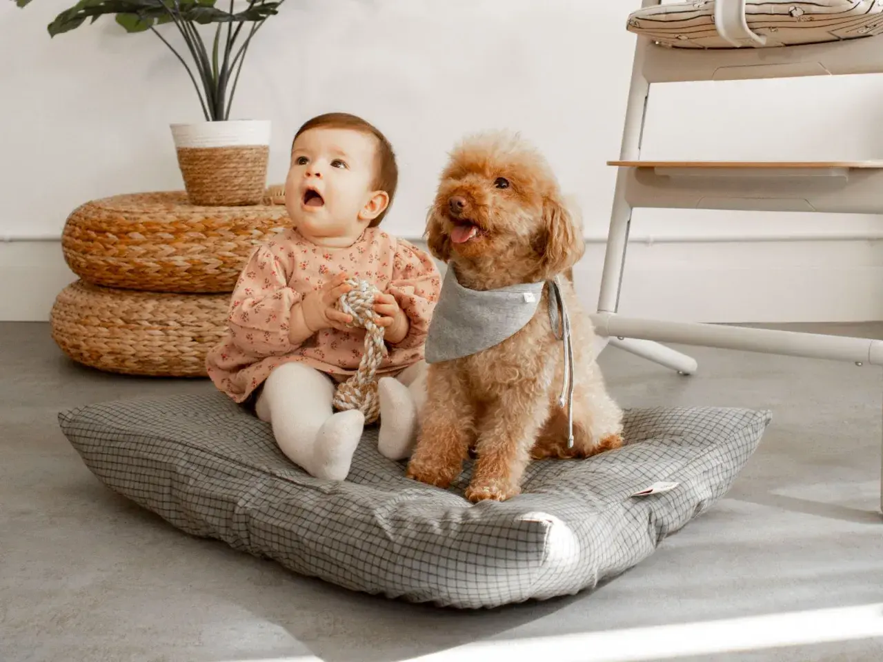 Un bebé y un perro juguetón disfrutan de un momento tierno en casa, sentados juntos en un cojín.