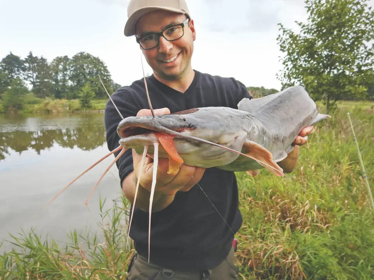 Glücklicher Angler präsentiert stolz einen großen afrikanischen Wels mit seinen charakteristischen Barteln.
