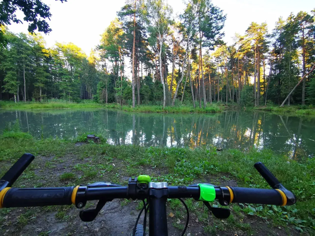 Rowerowy wypad do puszczy dulowskiej. Spokojna tafla wody odbija wysokie drzewa.
