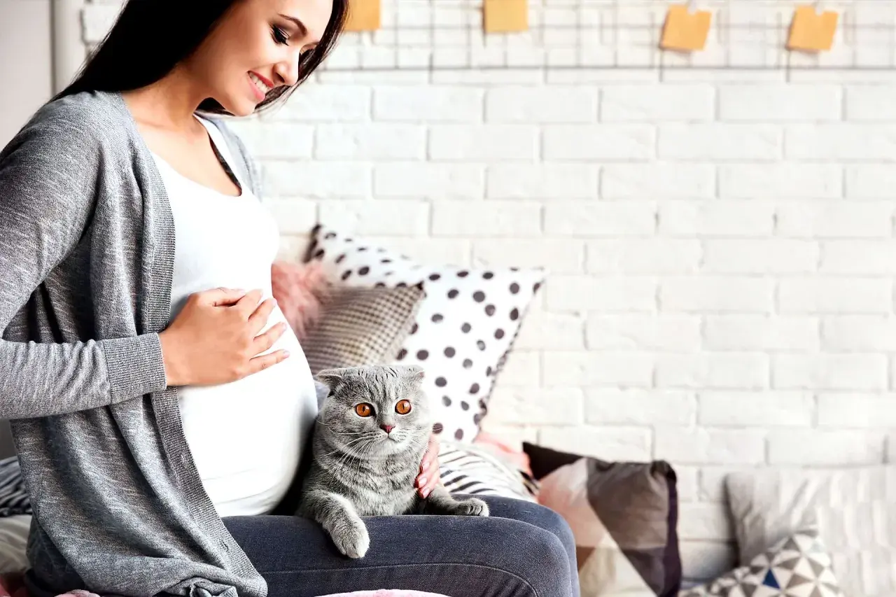 Donna incinta sorride accarezzando il gatto. Un pensiero al toxo test per la sua serenità.