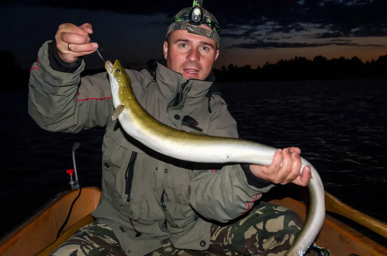 Ein Angler hält stolz einen frisch gefangenen aal im see. Die Nacht bricht herein, doch die Jagd war erfolgreich.