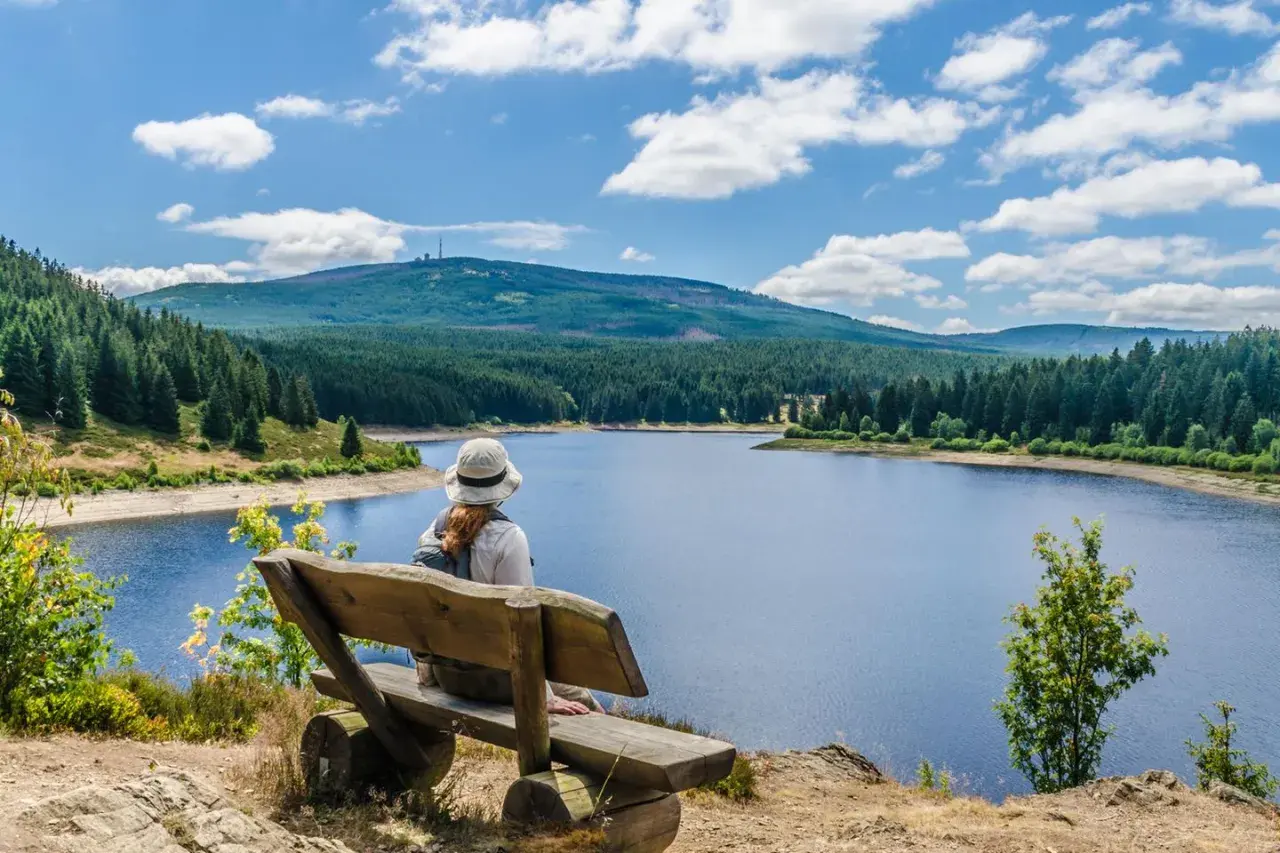 Frau auf Holzbank blickt auf See und bewaldete Berge im Harz.