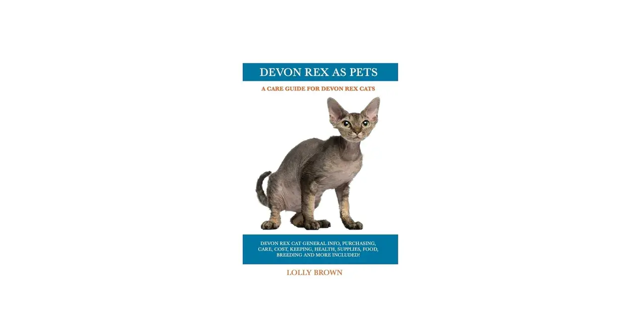 Un gato Devon Rex de pelaje corto y orejas grandes posa para la portada de un libro sobre gatos Devon Rex.